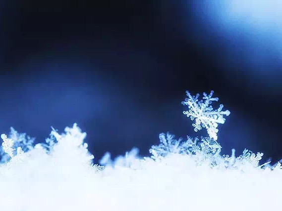 你那里下雪了？用手機(jī)來(lái)拍攝小雪花吧…