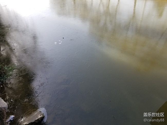 已開獎(jiǎng)【Note版一月第三周】曬出寒冬&御寒方式