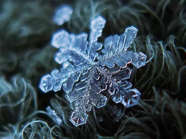 你那里下雪了？用手機(jī)來(lái)拍攝小雪花吧…