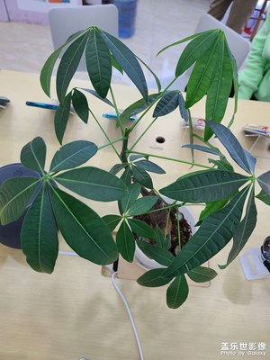 人生啊，一切隨緣