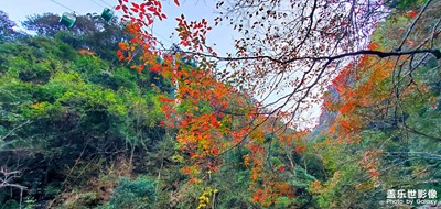 【隨拍的樂趣】今年冬天