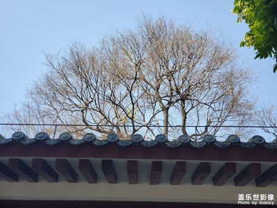 人民公園