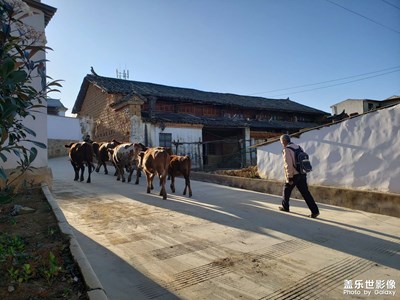 農(nóng)村紀實