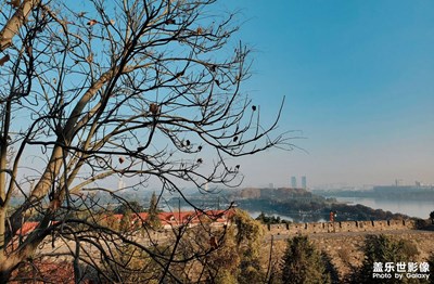 關(guān)于南京的第二次旅行(5/6)