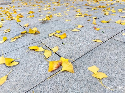 【光影記】+有光有影，無光無影