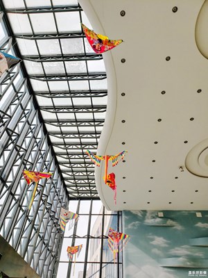 【光影記】+隨拍