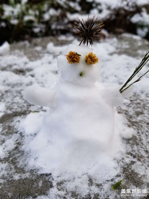 補發(fā)成都的雪