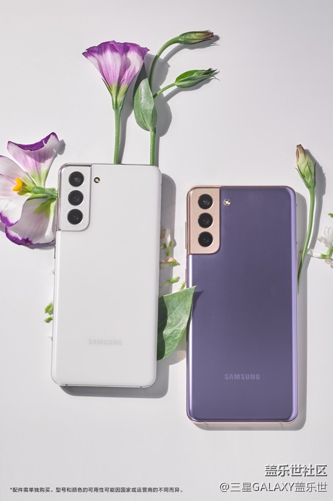 繁花弄影，紫色幻夢