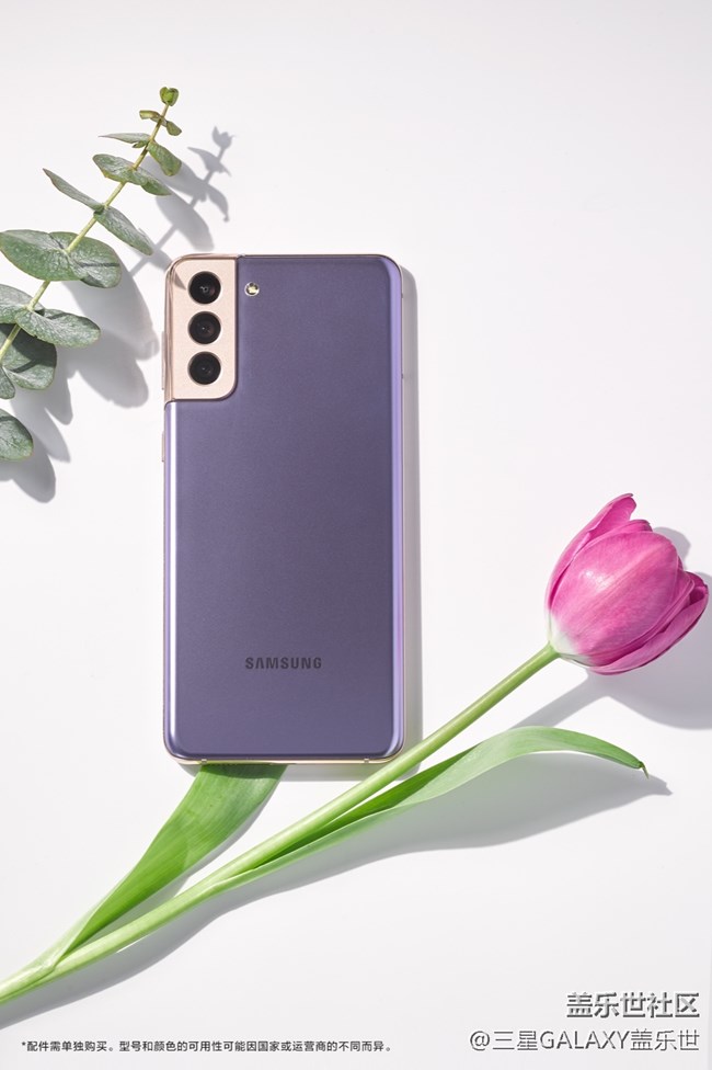 繁花弄影，紫色幻夢