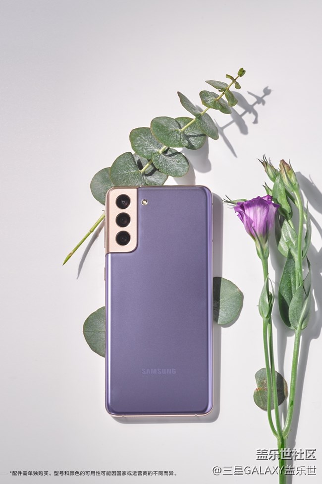 繁花弄影，紫色幻夢