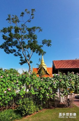 [光影記]+異國建筑