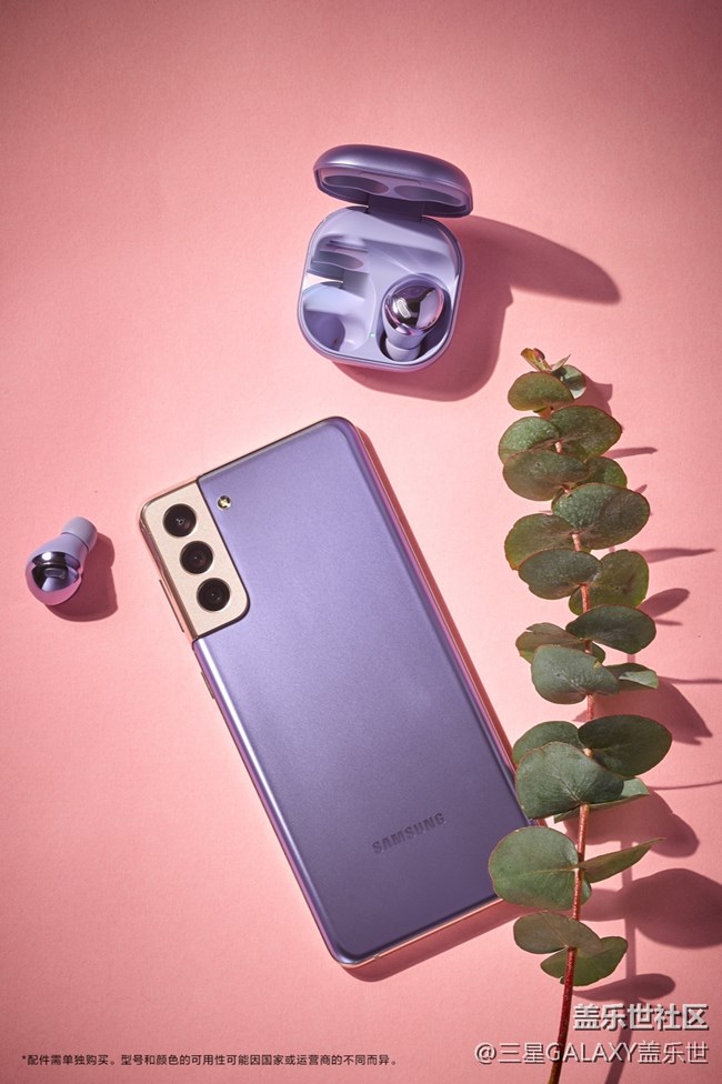 繁花弄影，紫色幻夢