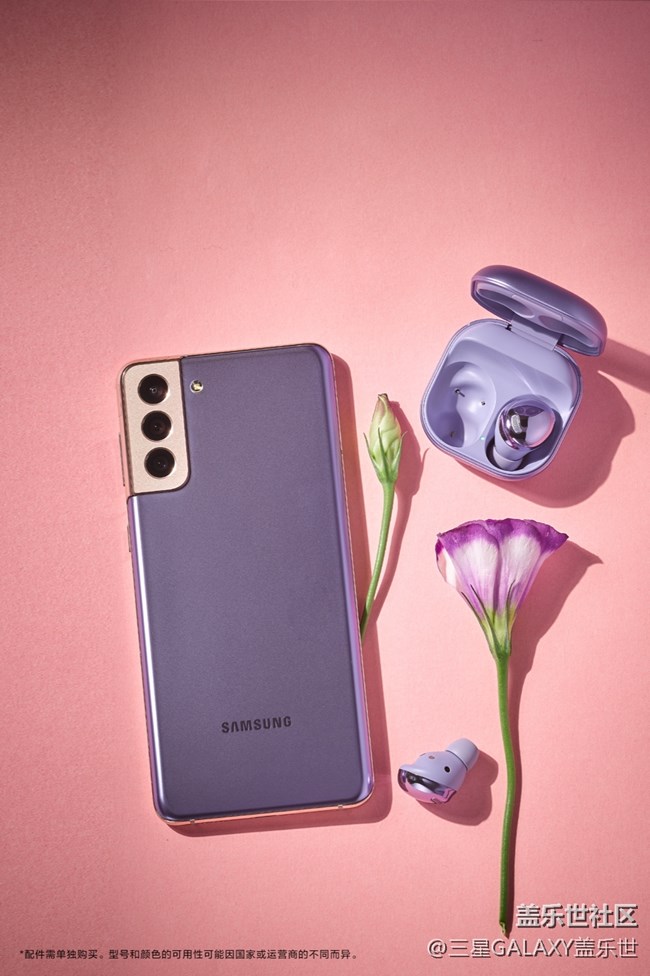 繁花弄影，紫色幻夢