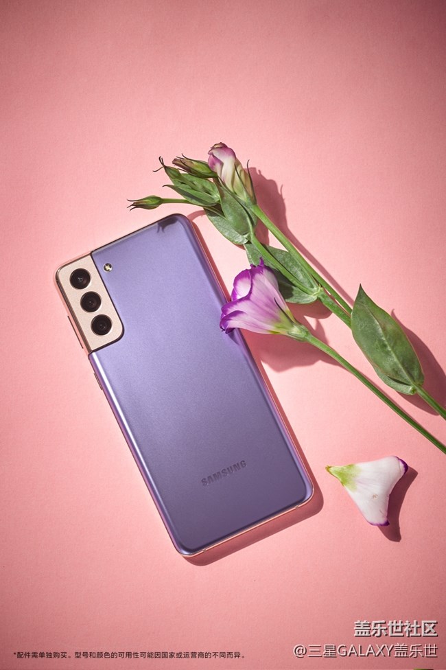 繁花弄影，紫色幻夢