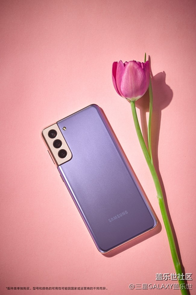 繁花弄影，紫色幻夢