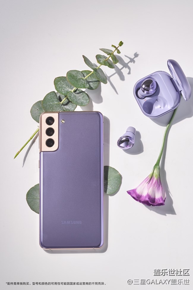 繁花弄影，紫色幻夢