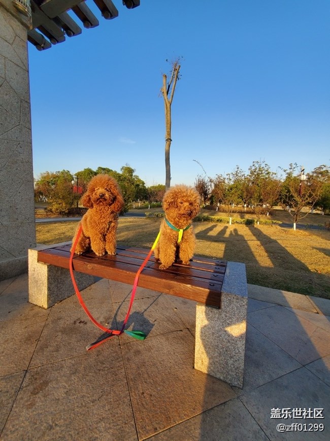 最終還是考慮了Note20Ultra