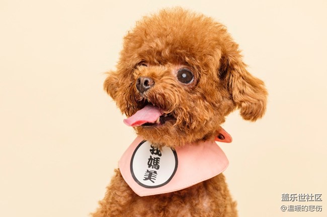 已開(kāi)獎(jiǎng)【2月寵物第一期】春節(jié)寵物怎么辦？