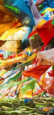 【光影記】+大自然是最棒的配色師