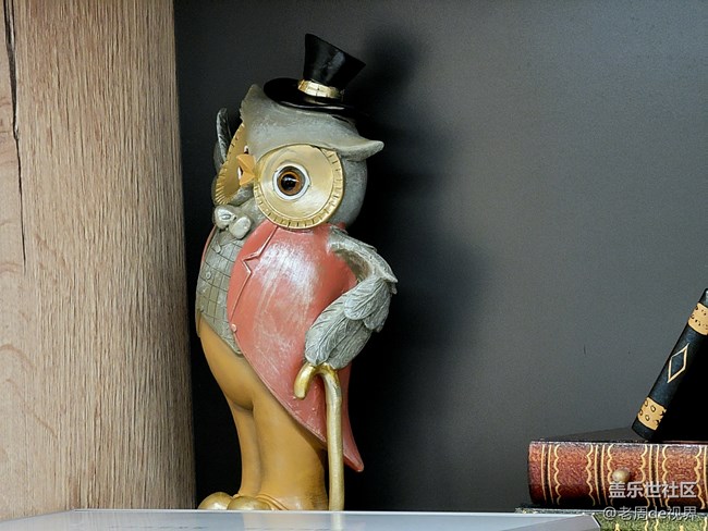 給大家體驗(yàn)一下S21Ultra十倍變焦