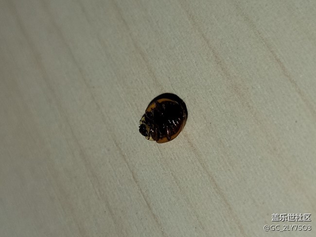 超大杯使用感受