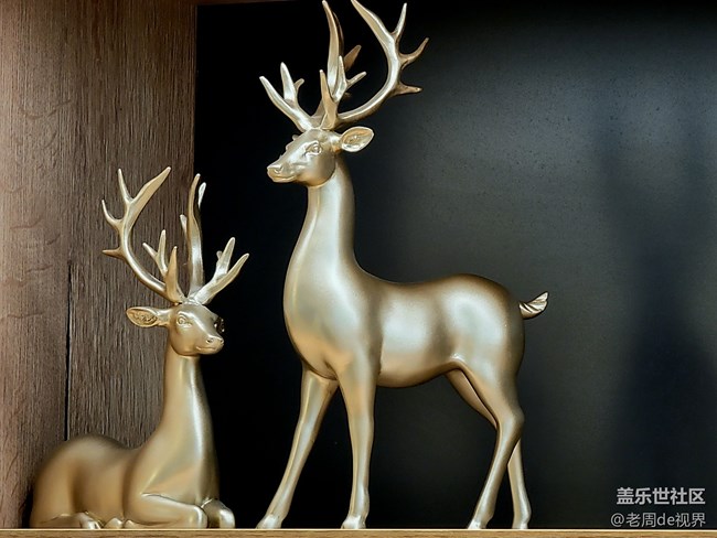 給大家體驗(yàn)一下S21Ultra十倍變焦