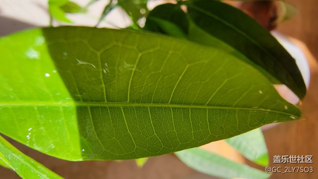 超大杯使用感受