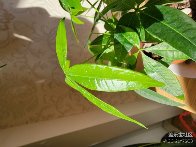 超大杯使用感受