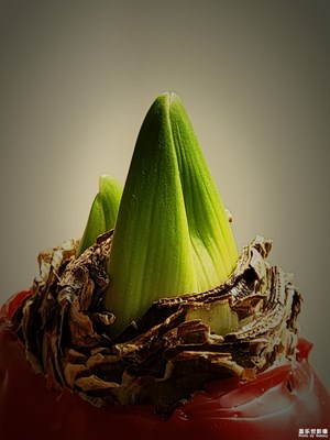 S21Ultra十倍變焦拍攝