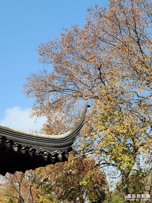 【遇見(jiàn)美好】拙政園