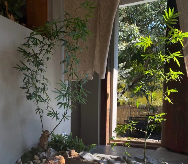 詠 朋友圈 見故人品茗棲溪茶館 照片