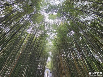 【遇見(jiàn)美好】+生活隨拍