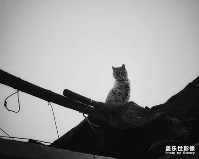 【遇見(jiàn)美好】+生活