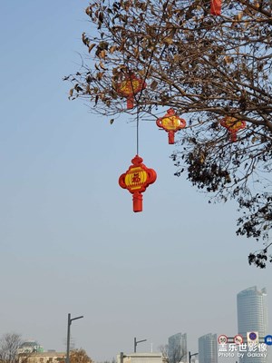 尋找年味