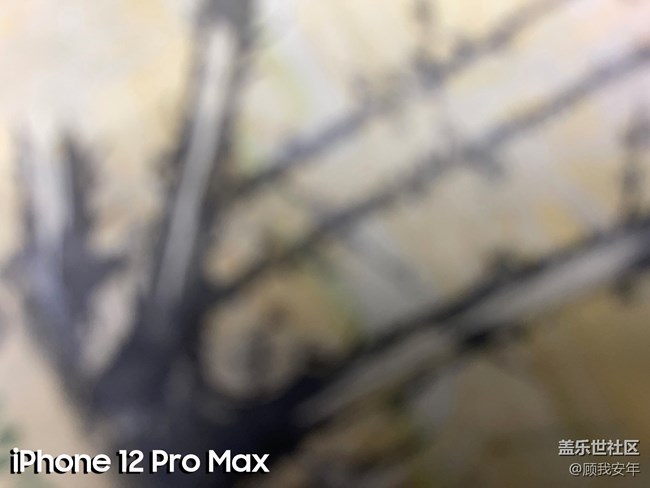 微距之間的較量，三星Galaxy S21 Ultra完勝！