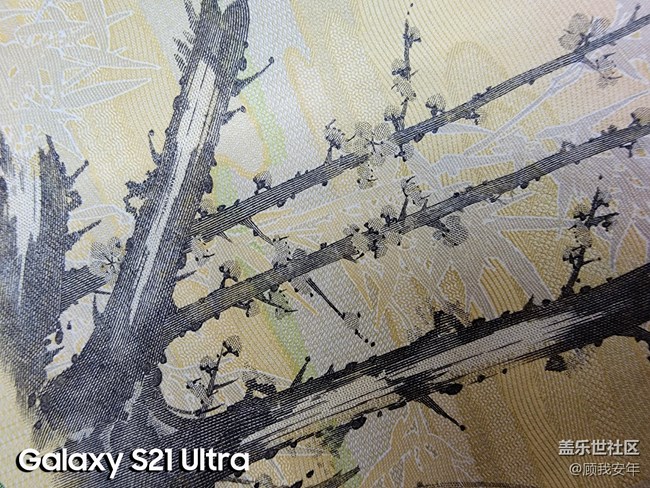 微距之間的較量，三星Galaxy S21 Ultra完勝！