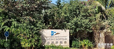今天的活動