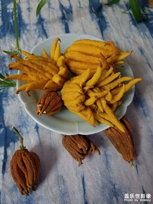 《遇見美好》+悄然而至的春