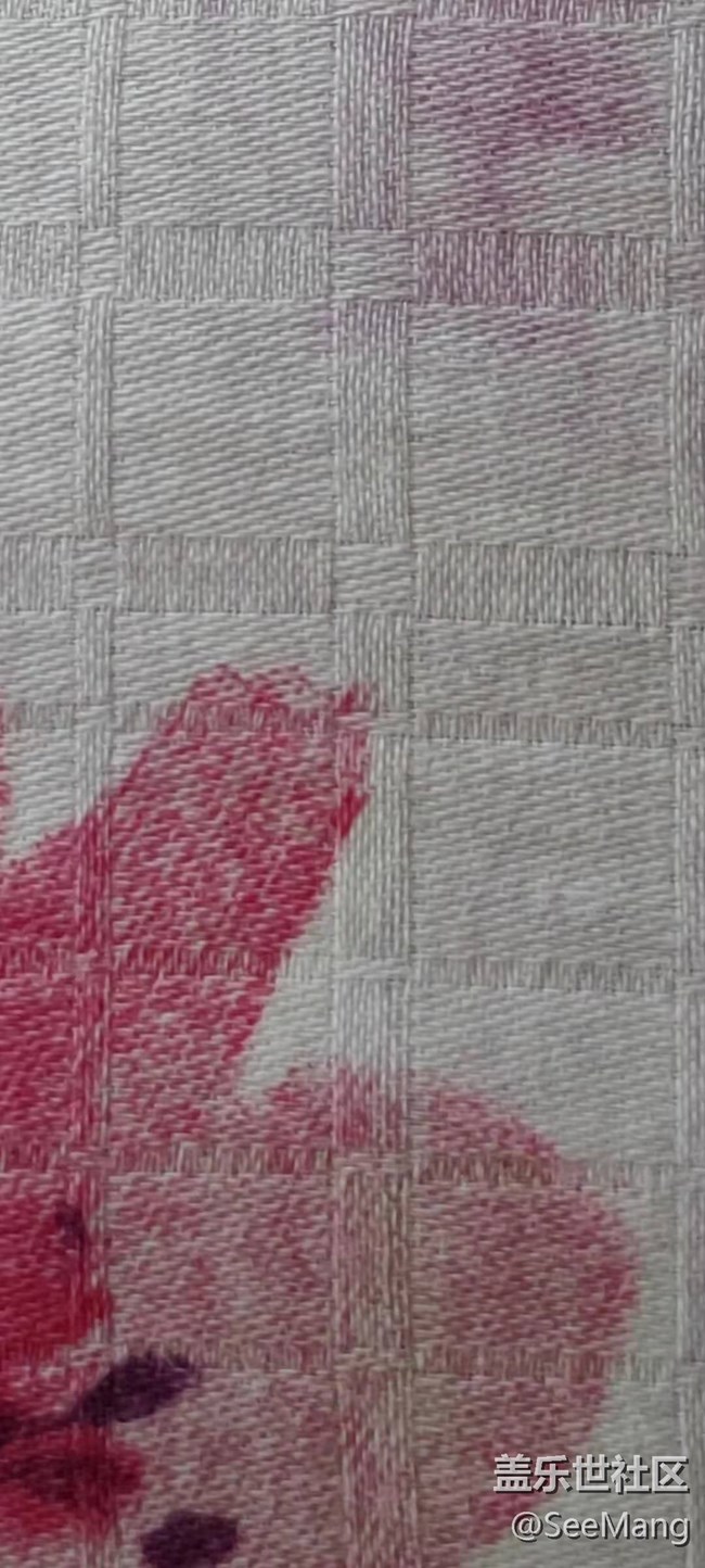 三星就是在放大細(xì)節(jié)上，極度失敗。