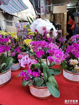 晚上好大家。祝愿大家新年快快樂(lè)樂(lè)