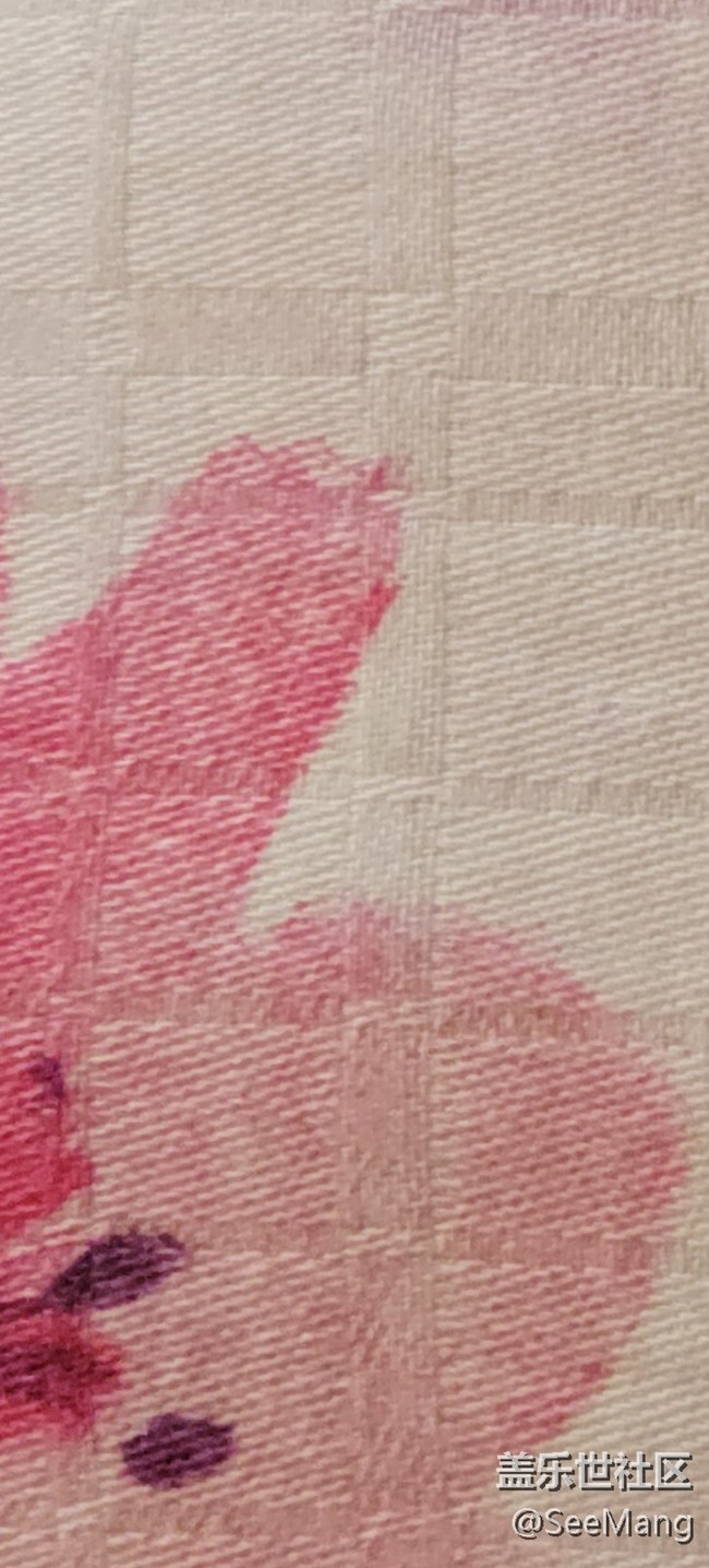 三星就是在放大細(xì)節(jié)上，極度失敗。