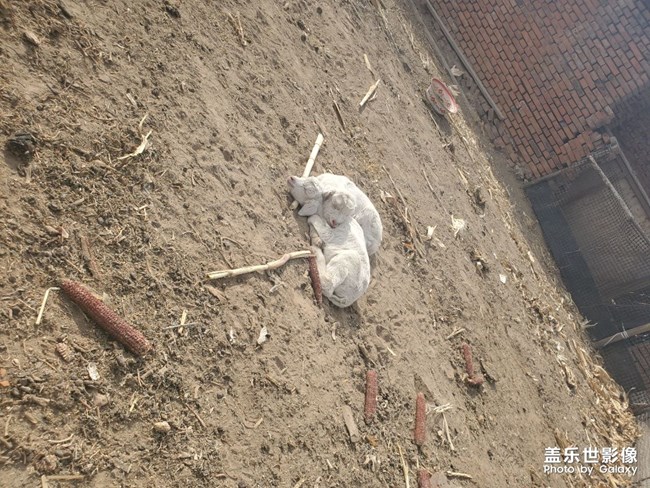 自我感覺拍照技術(shù)良好良好