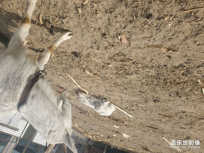 自我感覺拍照技術(shù)良好良好