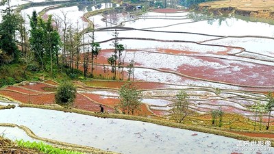 云南元陽梯田