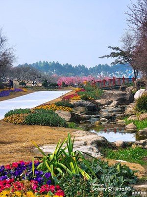 【福致新春】+春意盎然