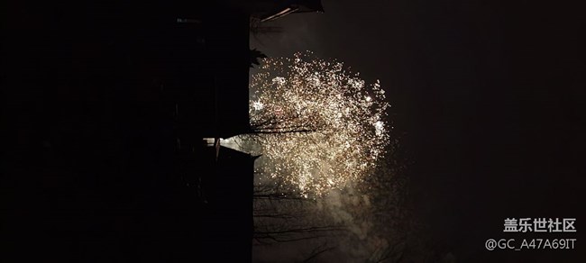 定格一瞬間，發(fā)現(xiàn)這才是火樹銀花