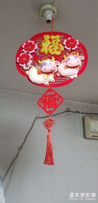 【歡度春節(jié)】新年快樂