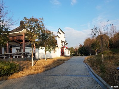 【歡度春節(jié)】散步