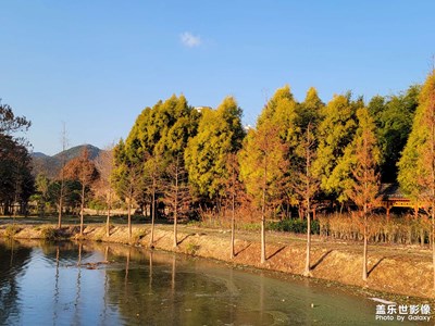 歡度春節(jié)