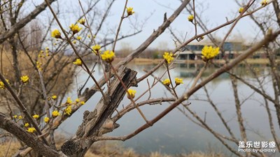 三星S20之風(fēng)景照